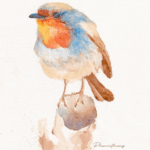 Robin Bird 1 - Print
